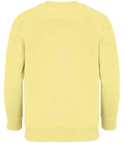 SOL'S Kids Columbia Sweatshirt 2