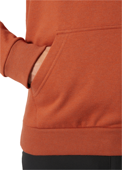 Helly Hansen Workwear Classic Logo Hoodie 3