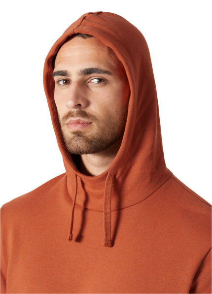 Helly Hansen Workwear Classic Logo Hoodie 4
