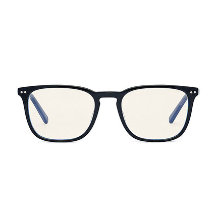 BOLLE SAFETY WELLINGTON UNISEX PROBLU GLASSES