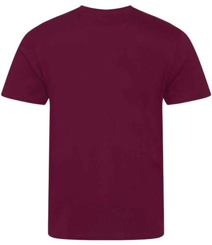 Ecologie Cascades Organic T-Shirt 1