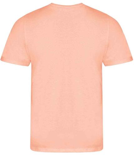 Ecologie Cascades Organic T-Shirt 1