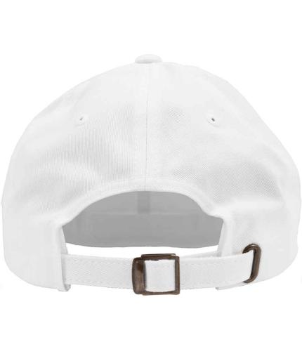 Flexfit Low Profile Cotton Twill Cap 2