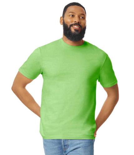 Gildan SoftStyle® Adult T-Shirt 2