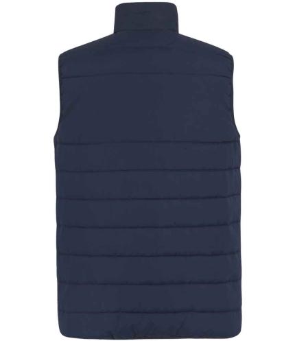 Regatta Essential Thermal Bodywarmer 1
