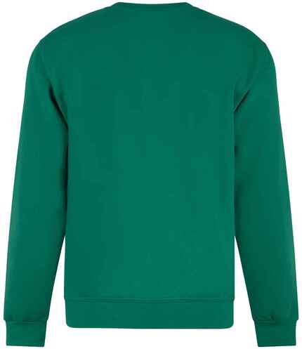 Pro RTX Pro Sweatshirt 1