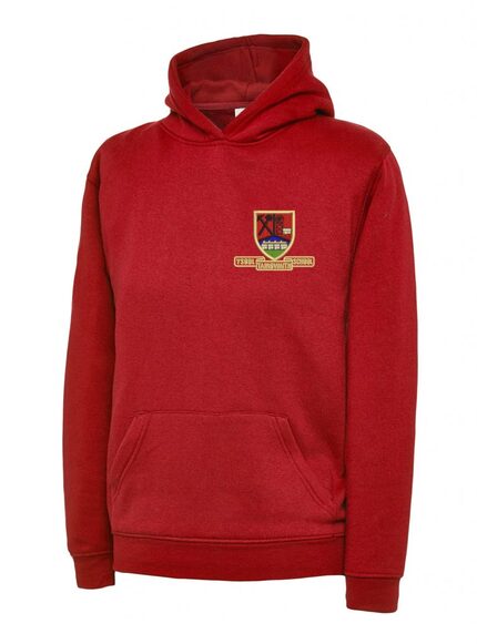 Tairgwaith Hoodie Adult Sizes