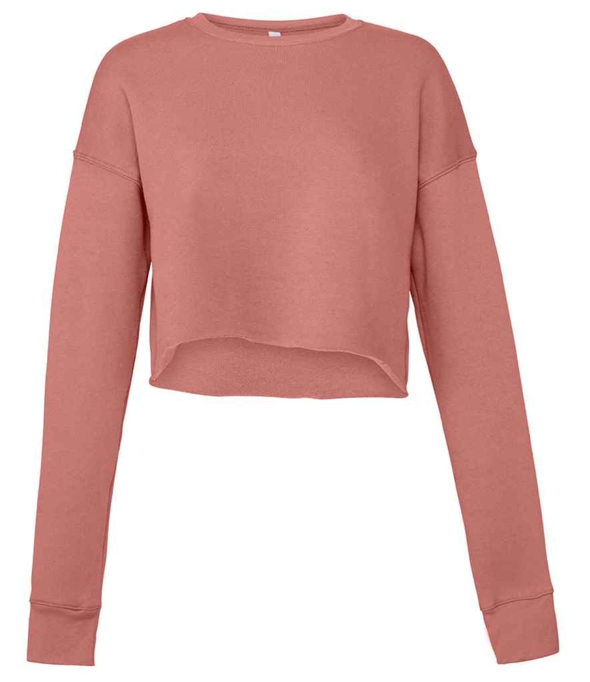 Bella deals crop sweatshirt